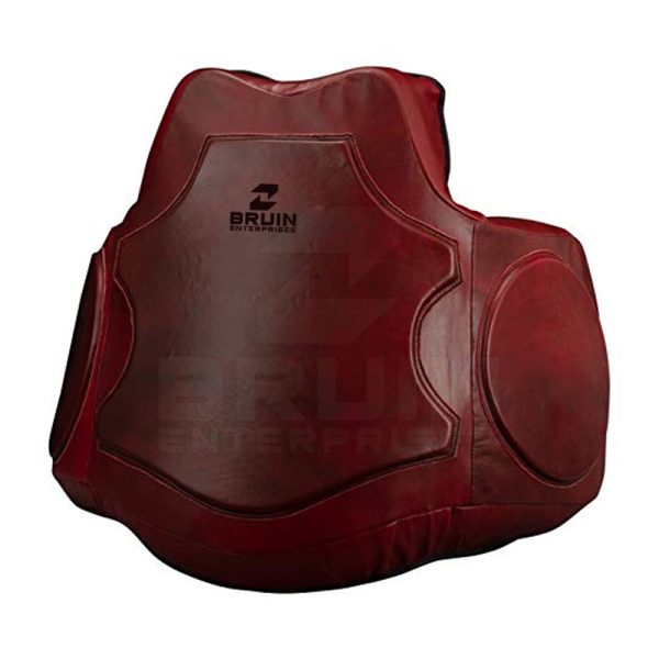 Chest Guard - Image 2